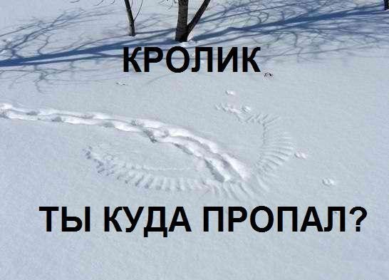 Прикольная открытка, пропал друг смешные картинки