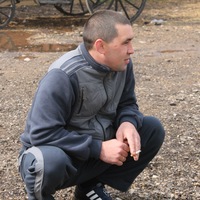 Александр Гаврилов