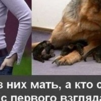 Саша Гвоздев