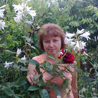 Елена Лысова-Заболотская
