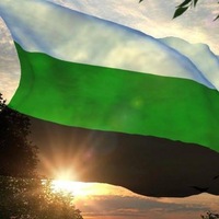 Александр Жуков