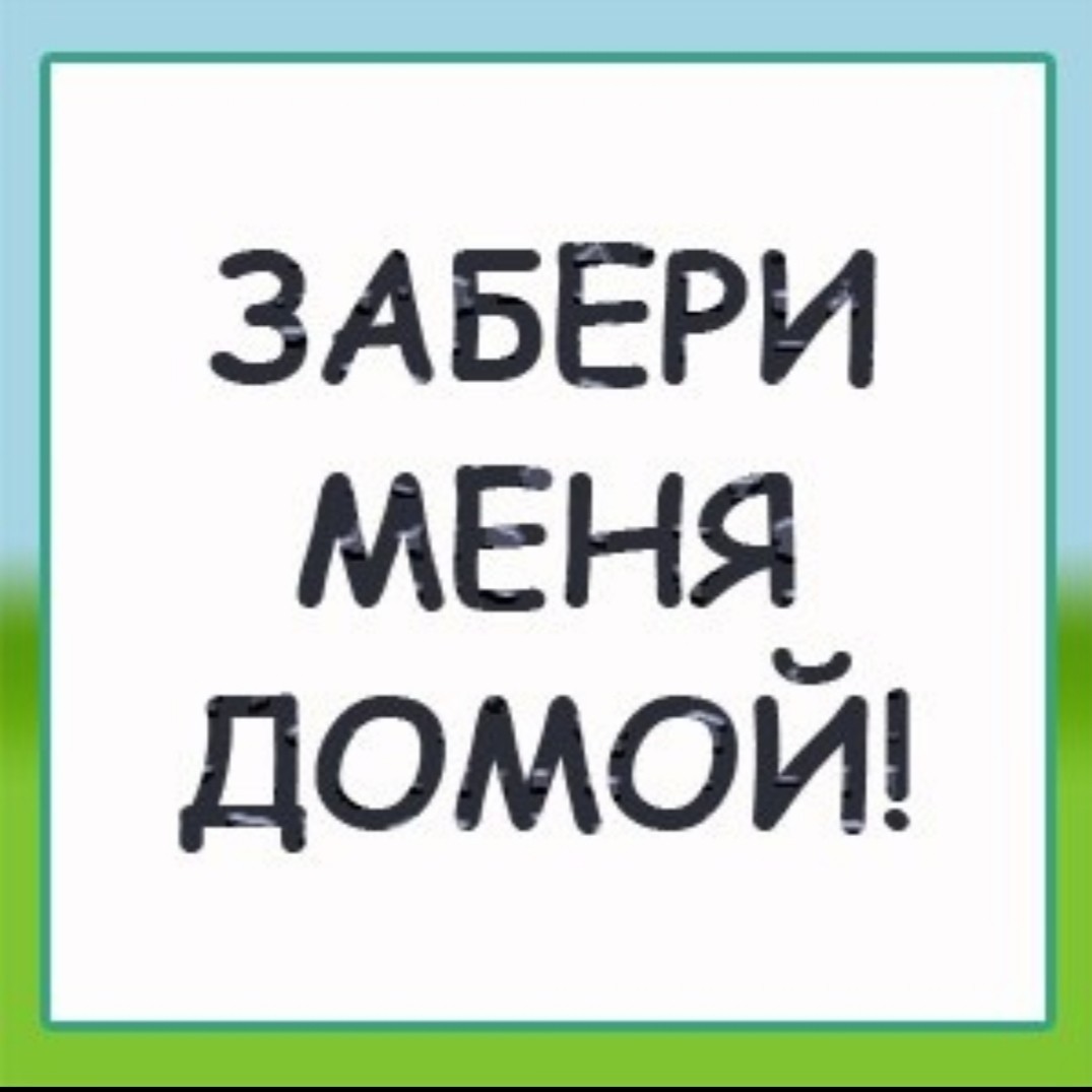 Забери меня гача. Забери меня домой. Заберите меня домой. Очень хочу домой. Надпись хочу домой.