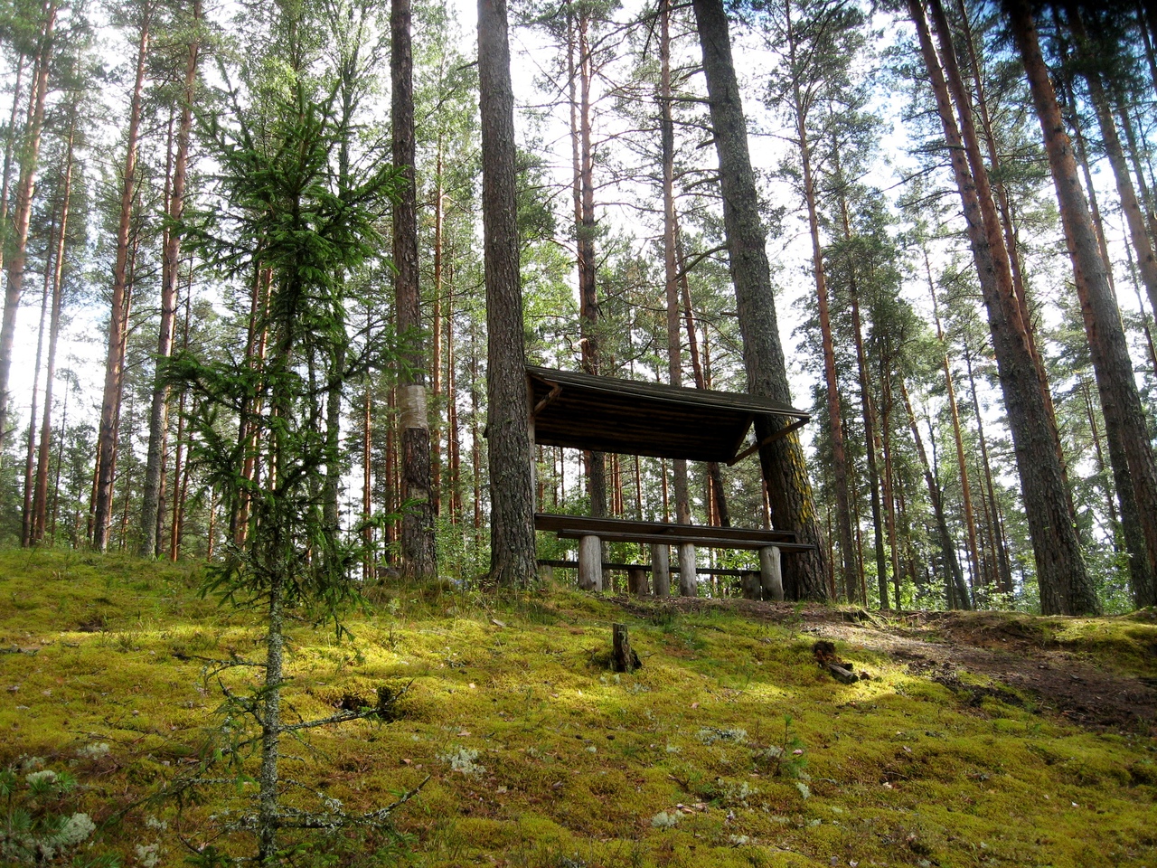 Карта шалово перечицкого заказника