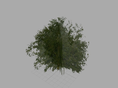 UD-G: tree01 - birch 15 m