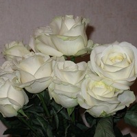 Елена Викторовна
