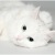 Катя Косяк