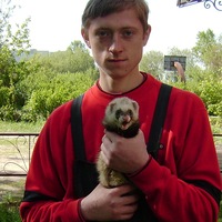 Скворцов Сергей