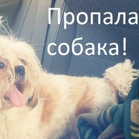 Александр Шорин