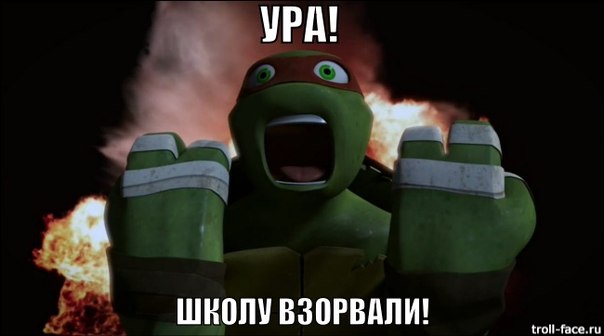 Картинки черепашки ниндзя 2012 смешные, кошка