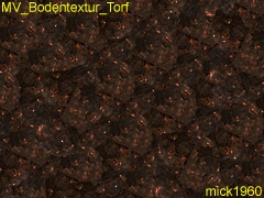 MV_Bodentextur_Torf