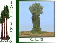 Kudzu 16 12m