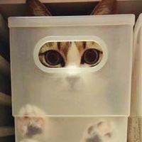 Игорь Сараев