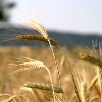 Иван Кудрявцев