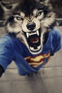 Сергей Захаров