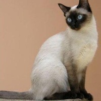 Любовь Виноградова