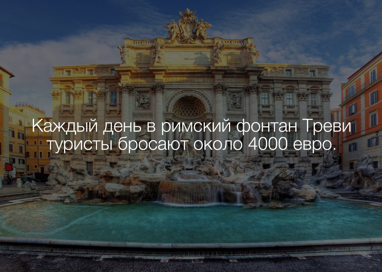 Кинул палку собаке. Чел на пляже песок мем. Кинуть палку. Вокруг кинуть. Бросил пить прикол.