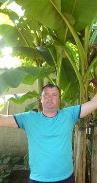 Александр Фадеев