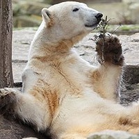 Олег Кузнецов