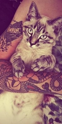 Мурка Кошкина