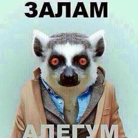Диана Алиева