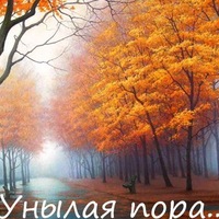 Света Яковлева