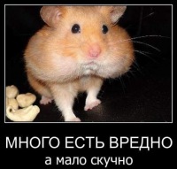 Щекастый Хомяк