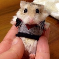 Алексей Парфёнов
