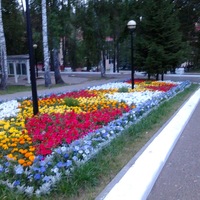 Диля Кадырова