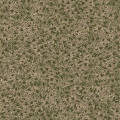 TS12-Grass-560-CM