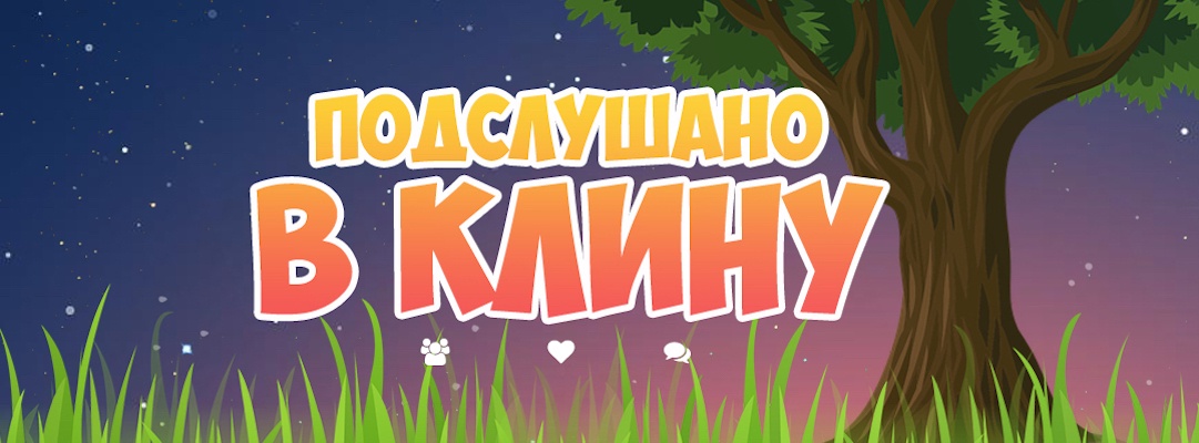 Подслушано в клину