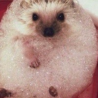 Ольга Пащенко