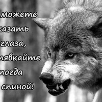 Сергей Симаков