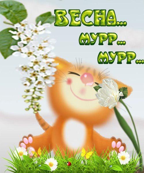 с весной тебя любимый. я очень люблю весну и когда. дарю тебе весну. я очень люблю весну и когда. я очень люблю весну и когда.