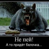 Александр Шмидт