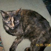 Татьяна Татьянина