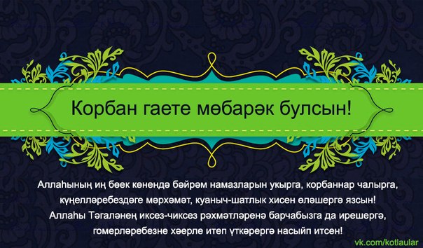 Курбан байрам поздравления картинки на татарском, анимашек цветов картинка