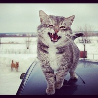Павел Чистов