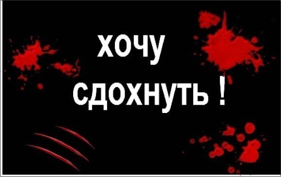 Картинки с надписями сдохнуть, белые розы днем