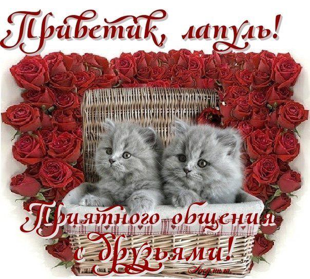 Открытки лапуля, открытка