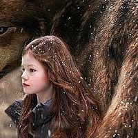 Игорь Пигасов