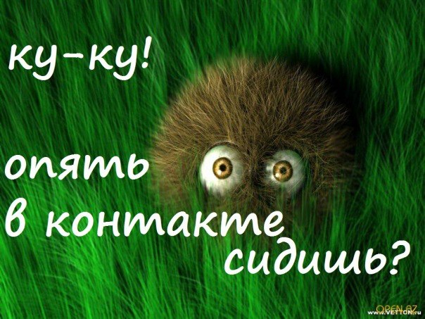 Открытка ку ку как дела, мужчина