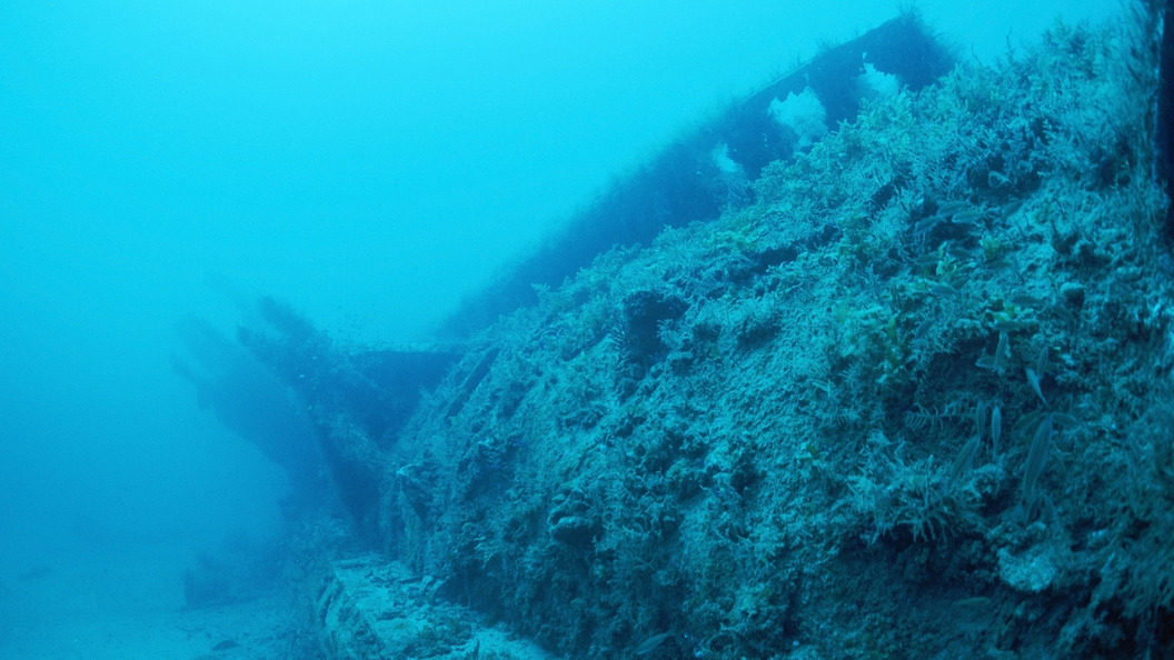 Дно балтийского моря