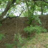 Катарина Бланк