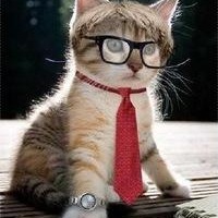 Светлана Яковлева