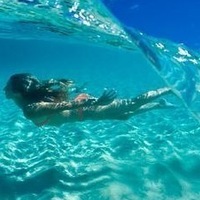 Александра Приколотина