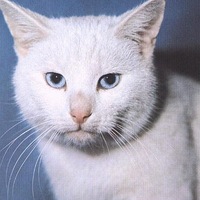 Вера Зайцева