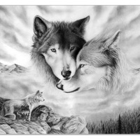 Антон Соколов