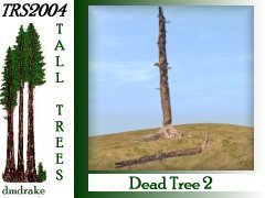 Deadtree 2 30m