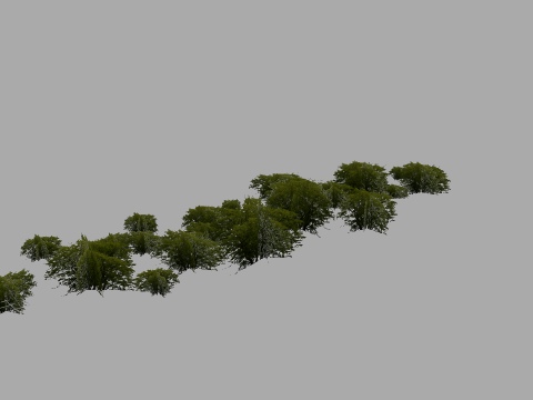 JVC(V)Trees#19c Shrub group spline 80m