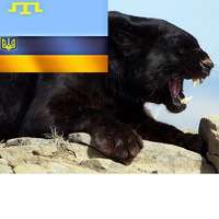 Ренат Сафин